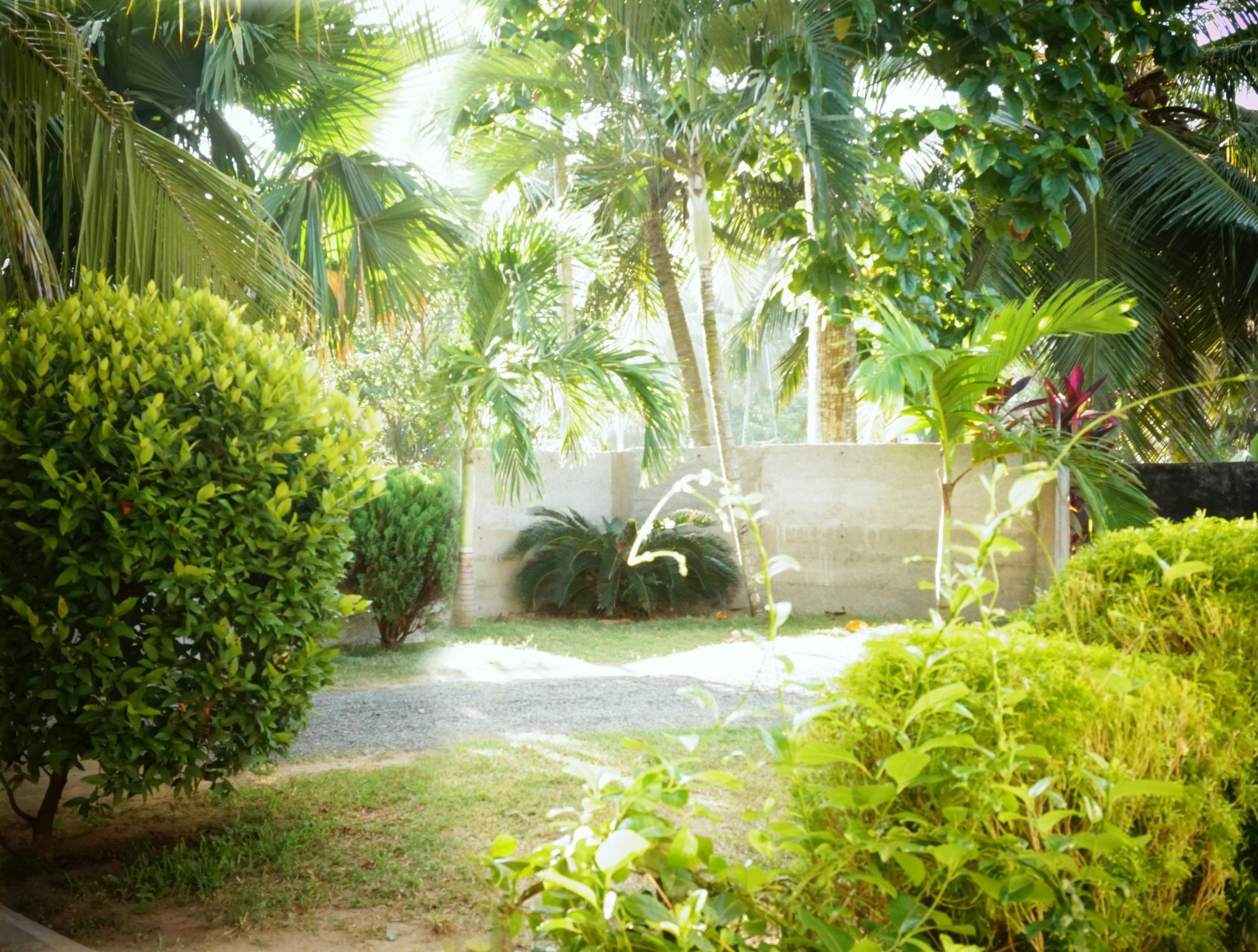 Liana Private Villa Near Tangalle Beach Εξωτερικό φωτογραφία